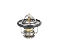 Termostato, refrigerante CALORSTAT BY VERNET TH6587.87J