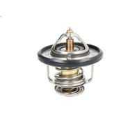 Termostato, refrigerante CALORSTAT BY VERNET TH6587.87J per XV (_GP_) 2 2012-