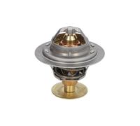Termostato, refrigerante CALORSTAT BY VERNET TH6593.82
