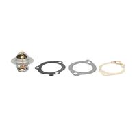 Termostato, refrigerante COLORSTAT BY VERNET TH7050.88J