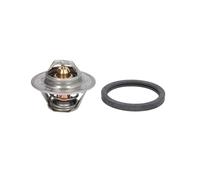 Termostato, refrigerante CALORSTAT BY VERNET TH7239.90J