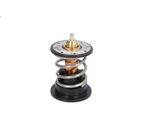 Termostato, refrigerante CALORSTAT BY VERNET TH7287.87 per 3 (E90) 2 2004-2011