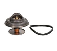 Termostato, refrigerante CALORSTAT BY VERNET TH1533.88J