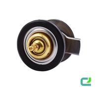 Termostato Refrigerante Con Guarnizione HELLA Per MERCEDES M-CLASS (W164)