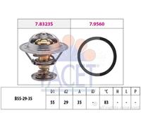 Facet Termostato Ducato - Citroen 78323