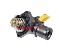 FAST FT58013 Termostato motore