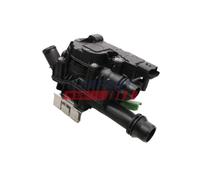 FAST FT58055 Termostato motore