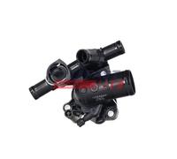 FAST FT58191 Termostato, refrigerante per NISSAN,OPEL,RENAULT,VAUXHALL