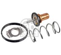 febi bilstein 172432 - Termostato