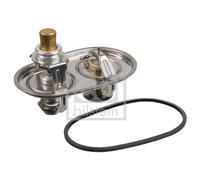 Termostato, refrigerante FEBI BILSTEIN 173372