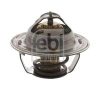 Termostato Refrigerante Febi Bilstein 18971 per Ford Ford Usa