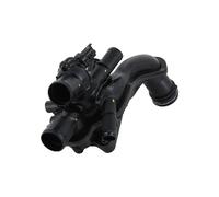 Termostato Refrigerante Ingegnato In Custodia 105 °C TRISCAN Per Altri MINI