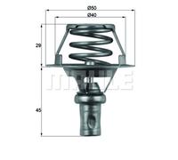 Termostato, refrigerante BEHR MAHLE TX 66 91D