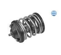 MEYLE 328 228 0010 Termostato motore per BMW 3 Limousine (E90) 5 Limousine (E60)