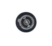 Termostato, refrigerante NRF 725143