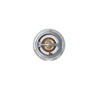 Termostato, liquido di raffreddamento EASY FIT NRF 725209