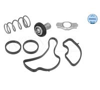 Termostato, refrigerante per ALFA ROMEO FIAT JEEP OPEL SUZUKI VAUXHALL 500L 500X