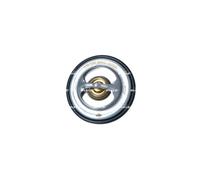 Termostato, refrigerante per ALPINA BMW 3 5 6 B6