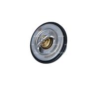 Termostato, refrigerante per AUDI BENTLEY VOLVO VW 100 80 850 940 960 A6 CABRIOL
