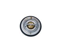 Termostato, refrigerante per AUDI FORD MERCEDES-BENZ PORSCHE SEAT VW A3 ALHAMBRA