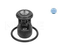 Termostato, refrigerante per AUDI SEAT SKODA VW A2 ALTEA ALTEA XL AROSA BORA CAD