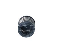 Termostato, refrigerante per BMW 1 2 3 4 5 6 7 X1 X3 X4 X5 X6