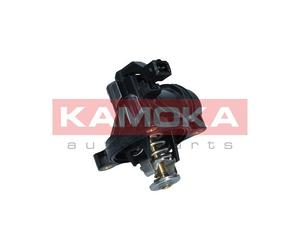 Termostato, refrigerante per BMW 1 3 5 X1 X3 Z4