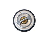 Termostato, refrigerante per BMW 3