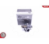 Termostato, refrigerante per BMW 3 4 5 6 7 X5 X6