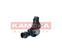 Termostato, refrigerante per BMW 3 5 7 X3 X5 Z3 Z4
