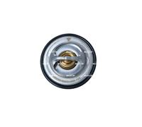 Termostato, refrigerante per BMW MERCEDES-BENZ 3 UNIMOG