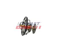 Termostato, refrigerante per CITROËN DAIHATSU FIAT FORD FORD AUSTRALIA JAGUAR LA
