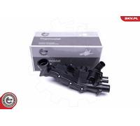Termostato, refrigerante per CITROËN PEUGEOT 307 406 607 BERLINGO / BERLINGO FIR