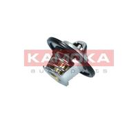 Termostato, refrigerante per DACIA LADA NISSAN OPEL RENAULT 19 AVANTIME CLIO DUS