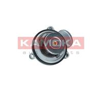 Termostato, refrigerante per DAEWOO MERCEDES-BENZ SSANGYONG CLASSE C CLASSE E CL