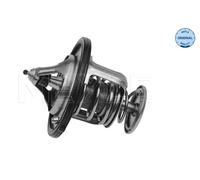 Termostato, refrigerante per FORD MAZDA 2 3 323 F 323 P 323 S 5 6 626 B-SERIE BT