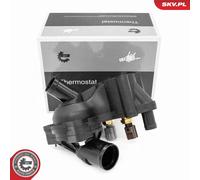 Termostato, refrigerante per FORD USA EXPLORER EXPLORER SPORT TRAC MUSTANG