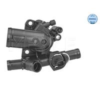 Termostato, refrigerante per NISSAN OPEL RENAULT VAUXHALL PRIMASTAR TRAFIC II VI