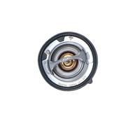 Termostato, refrigerante per NISSAN PATHFINDER PATROL GR