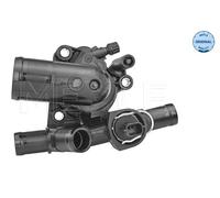 Termostato, refrigerante per NISSAN RENAULT ESPACE GRAND SCÉNIC KOLEOS LAGUNA LA