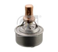 Termostato, refrigerante per RENAULT 19 21 CLIO TWINGO