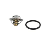 Triscan 8620 29082 - Termostato, Refrigerante