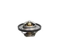 Termostato, refrigerante THERMOTEC D2C001TT