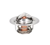 Termostato, refrigerante THERMOTEC D2FO001TT