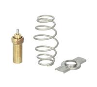 Termostato, refrigerante THERMOTEC D2IV006TT