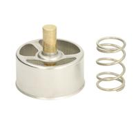 Termostato, Refrigerante - THERMOTEC D2RV005TT