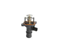 Termostato, refrigerante THERMOTEC D2T005TT