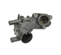 Termostato, refrigerante THERMOTEC D2W009TT