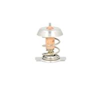 Termostato, refrigerante THERMOTEC D2X002TT