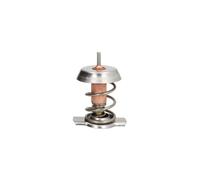 Termostato, refrigerante THERMOTEC D2X008TT